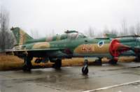 _papa_040203_ag_044_mig_21_49_small.jpg